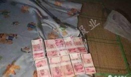 宿迁公安爆料案件最新,连环盗窃案告破，多起案件串并追踪中