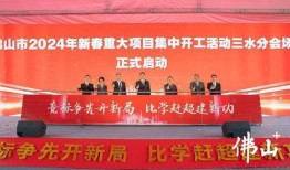 佛山三水华侨新闻爆料,海外侨胞心系家乡，共筑发展新篇章