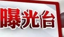 潍坊爆料最新,聚焦城市动态，探寻民生热点