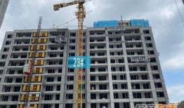 桃源新建筑爆料最新消息,揭秘最新建筑爆料背后的惊艳设计