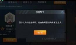 和平精英巡查衣最新爆料