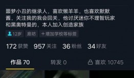 在哪里发爆料视频呢抖音,揭秘如何轻松上传爆料视频