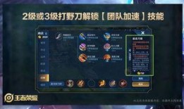 王者师叔爆料视频,游戏内幕大公开！