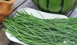 网红吃瓜大集合集图片,一场视觉盛宴的狂欢