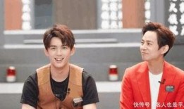 网友爆料吴磊事件视频完整版,网友爆料背后的真相揭秘