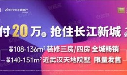 武汉李先生爆料新闻,揭秘某事件背后真相