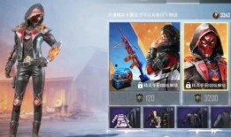 和平精英武士皮肤爆料视频,揭秘神秘武士风潮