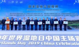 海口新闻电视台爆料,揭秘当地热点事件背后的真相