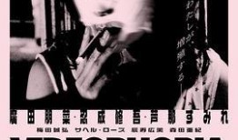 幽灵党在线观看完整版,揭秘神秘组织，在线观看完整版，揭开暗黑势力之谜