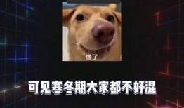 吃瓜娱乐图片高清壁纸,吃瓜娱乐瞬间，捕捉欢乐时光