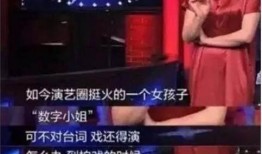朱小姐爆料跳单视频大全,视频大全揭秘行业乱象