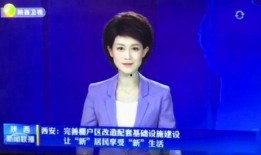 陕西老李前妻爆料新闻报道,揭秘婚姻内幕，真相令人震惊