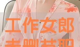 工作女郎未删减在线观看,真实职场背后的激情与挑战