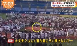 日本娱乐吃瓜,揭秘明星幕后故事与八卦传闻