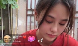 四叔四婶爆料视频,家庭琐事背后的惊人真相