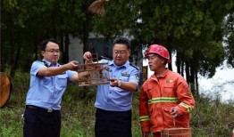 淄博警察爆料案件最新情况,案件进展及关键线索披露