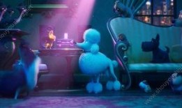 爱宠在线观看完整版,萌宠奇遇记