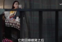 沈阳孩子爆料视频,揭秘校园生活背后真相