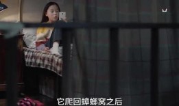 沈阳孩子爆料视频,揭秘校园生活背后真相