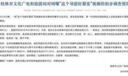 爆料导游视频,揭秘旅游行业背后的惊人内幕