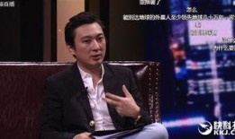 最新爆料王思聪直播,揭秘娱乐圈幕后真相