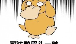 潍坊爆料小爷爷是谁啊最新消息,最新消息追踪