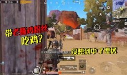 吃鸡ak最新爆料图片,外观升级，性能再突破！