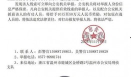 商人爆料缅北案件视频播放,商人爆料视频曝光惊人内幕