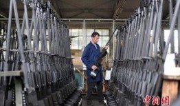 塞尔维亚工厂爆料视频,揭秘生产线的真实面貌