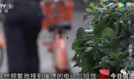 今日说法爆料视频