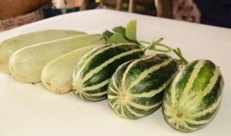 被吃瓜爆料的网红有哪些,盘点那些被吃瓜爆料的热门事件
