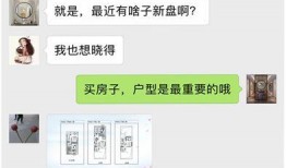泄密爆料吃瓜免费,泄密爆料背后的真相与内幕