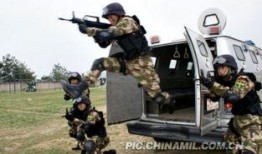 利剑出击全集在线观看,揭秘英勇战士的传奇征程