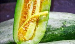 被吃瓜爆料的网红有哪些,盘点那些被吃瓜爆料的热门事件