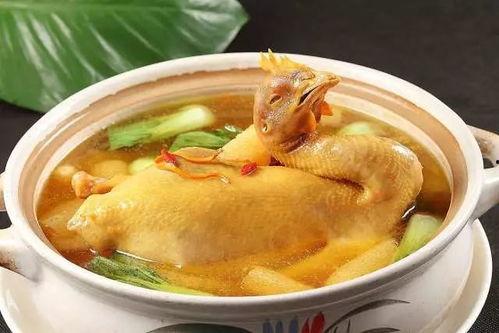 娱乐吃瓜酱鸡汤视频大全,鸡汤视频大全,暖心治愈你的日常