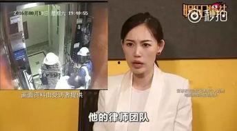 娱乐圈吃瓜熊